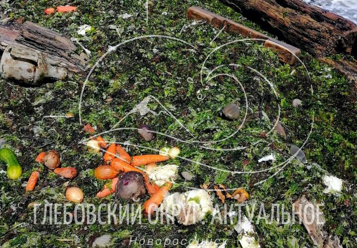На пляж в Новороссийске выкинуло овощи для борща