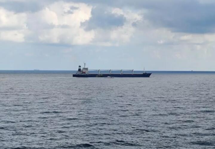 В Черном море сухогруз с украинским зерном изменил курс 