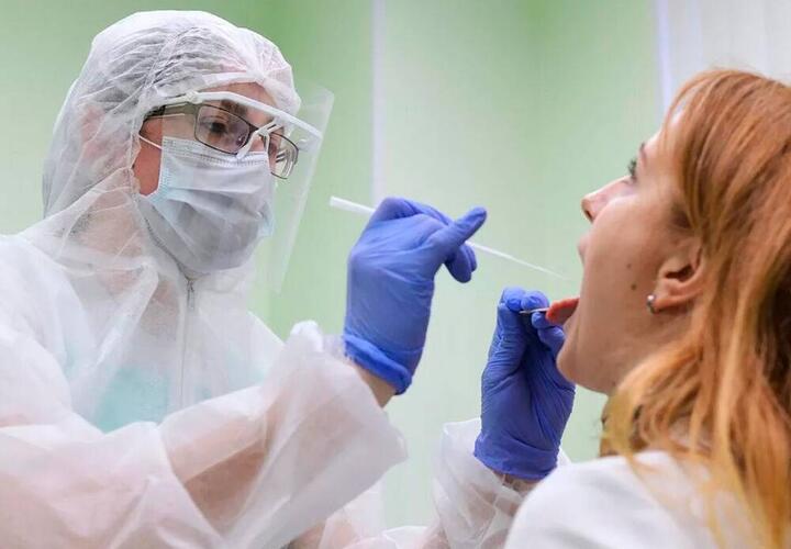 В Краснодарском крае насчитали 1 703 новых пациентов с коронавирусом