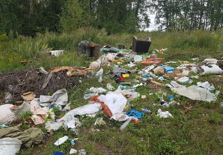 В пяти поселениях Усть-Лабинского района Кубани нашли незаконные свалки