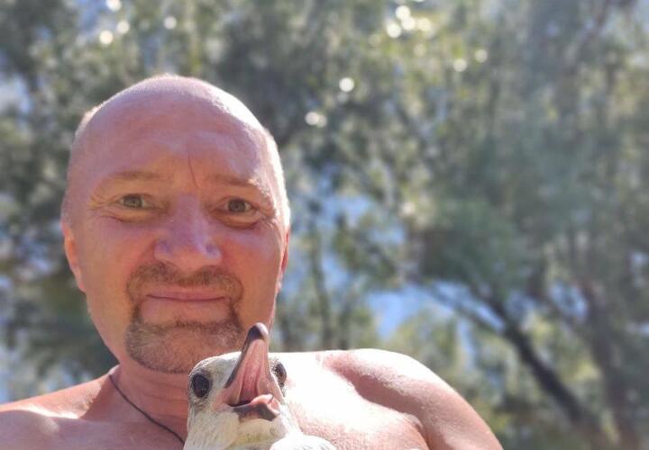 Житель Краснодара нашел истерзанную чайку и приручил ее ВИДЕО