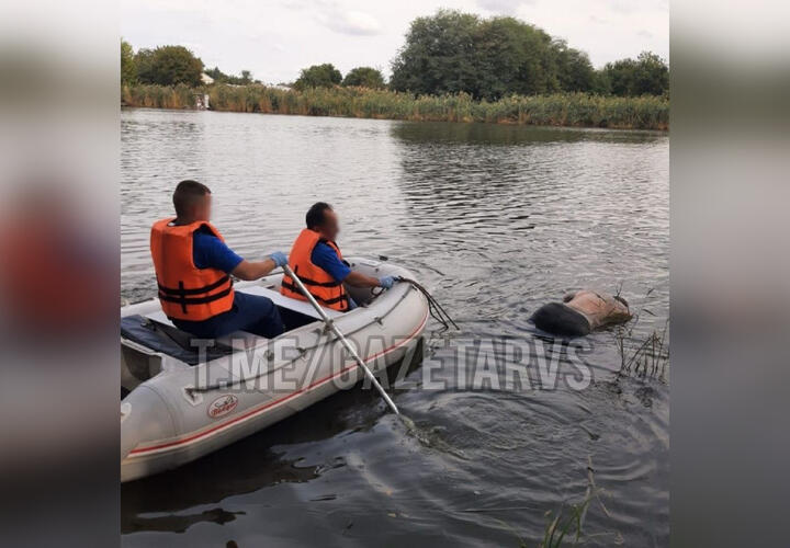 В Динском районе Кубани из реки выловили труп парня
