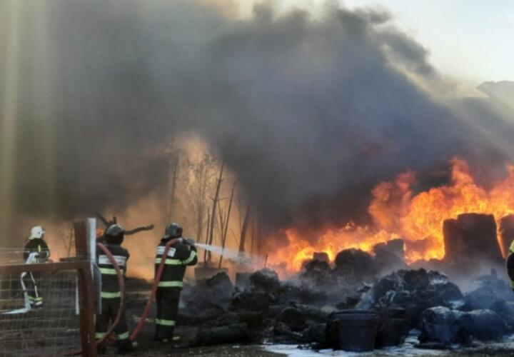 В Новороссийске ночью произошел пожар на мусорном полигоне