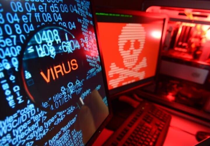 Силовики раскрыли кибератаку на АЗС в Краснодаре