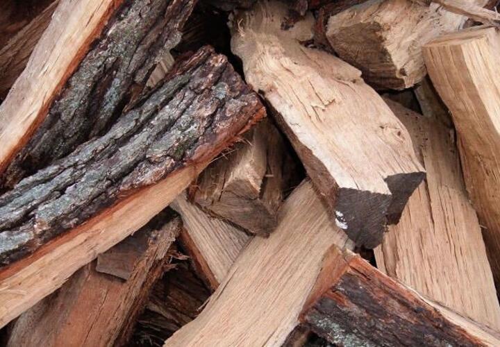 Жители Туапсинского района Кубани срубили дров на 4,3 млн 
