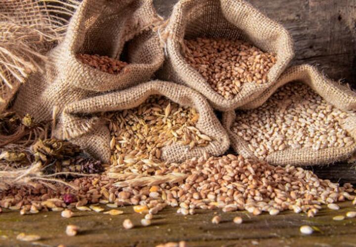 Аграрии Кубани столкнулись с понижением цен на зерно 