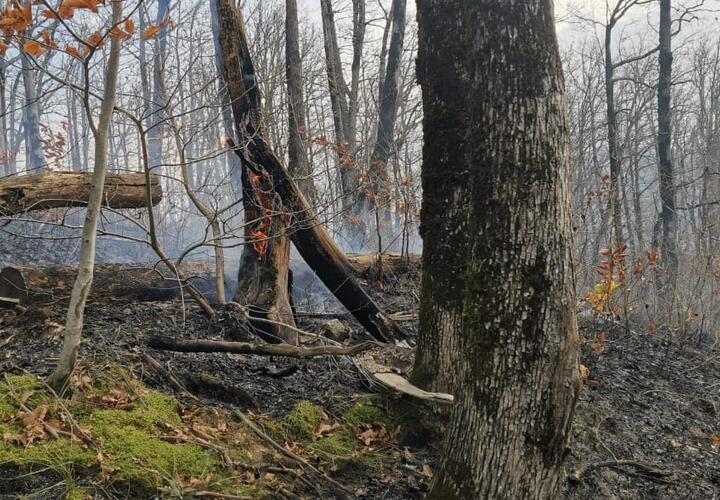 Пожар под Туапсе повредил больше пяти гектаров леса