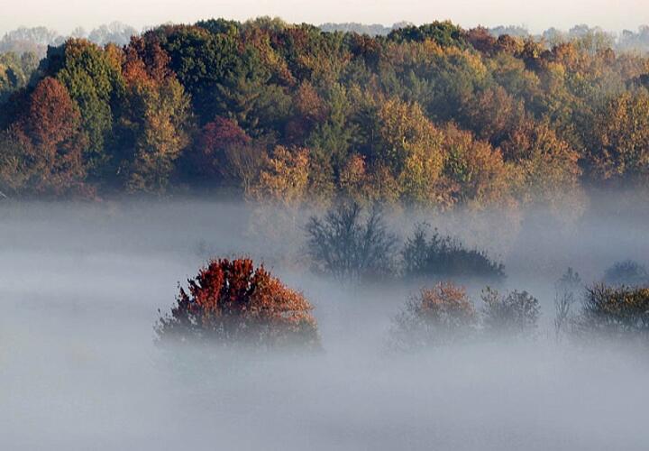 Во вторник на Кубань опустится густой туман