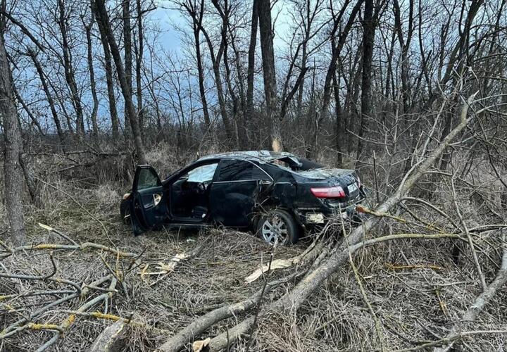 На Кубани лихач на иномарке съехал с дороги в лесополосу и погиб 