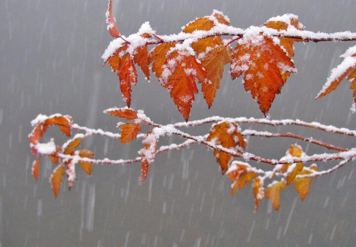 Синоптики предсказали снег и ветер 20 декабря на Кубани
