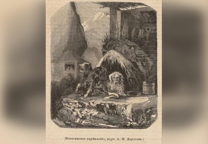 Краевед из Сочи нашел уникальную репродукцию картины «Навагинское укрепление»