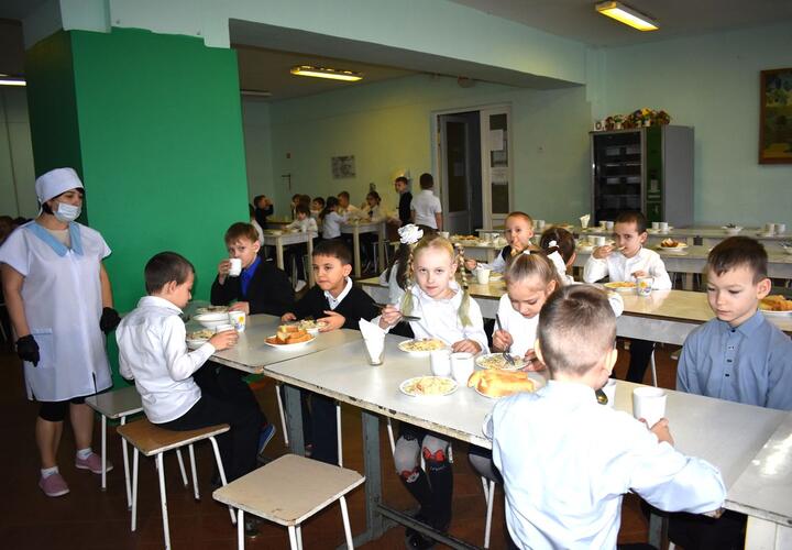 После скандала: ФСБ проверяет организацию школьного питания в Краснодаре