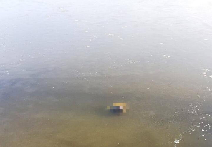 В Краснодарском крае в реке утонул мужчина