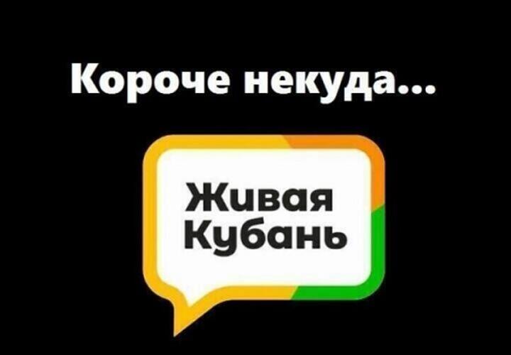 В России увеличат социальные выплаты, а журналист из Геленджика предложил переименовать Киевскую улицу: итоги дня