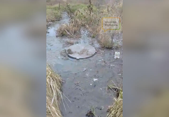 «Народ задыхается»: жители Северского района Кубани жалуются на текущую канализацию
