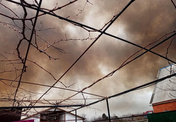 В Темрюкском районе Кубани вспыхнул крупный природный пожар