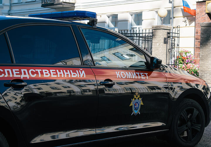 Бастрыкин взял на контроль дело об избиении подростка в маршрутке Новороссийска 