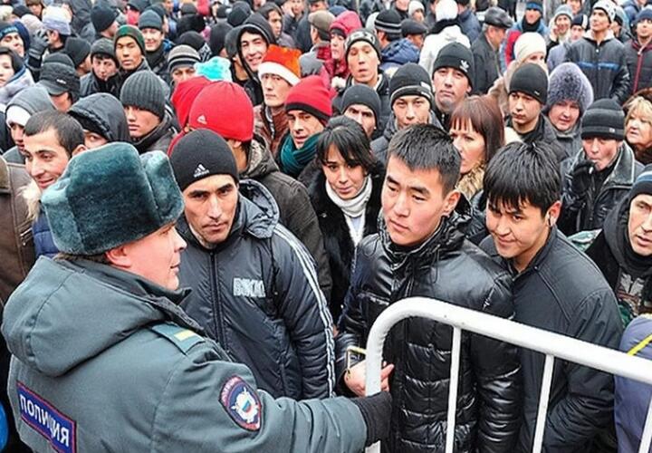 На Кубани в этом году выявили свыше 4600 нарушений миграционного законодательства