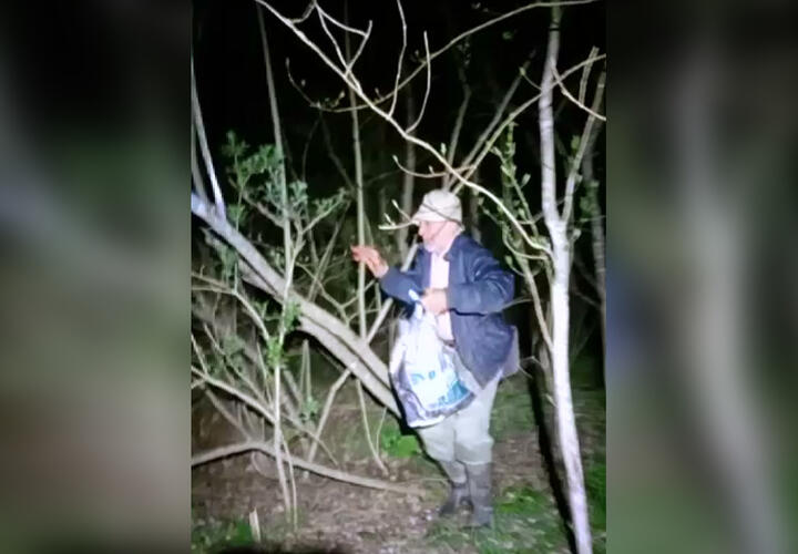В лесу под Апшеронском пенсионер собирал черемшу и заблудился