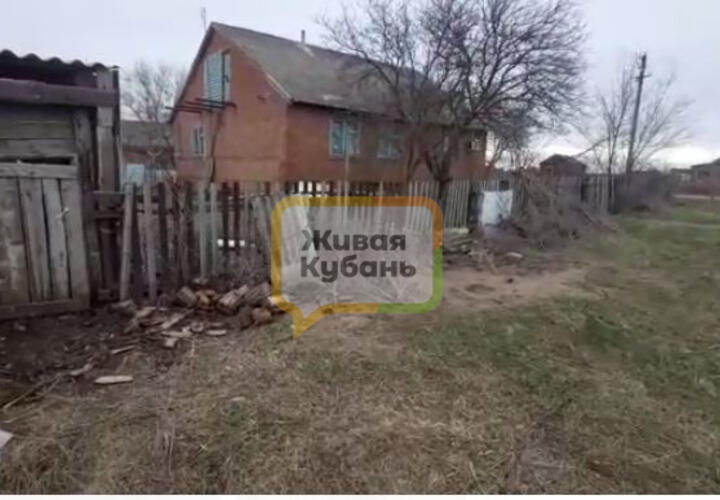 Жесть: волонтеры из Краснодара обнаружили могильник на месте приюта для собак 