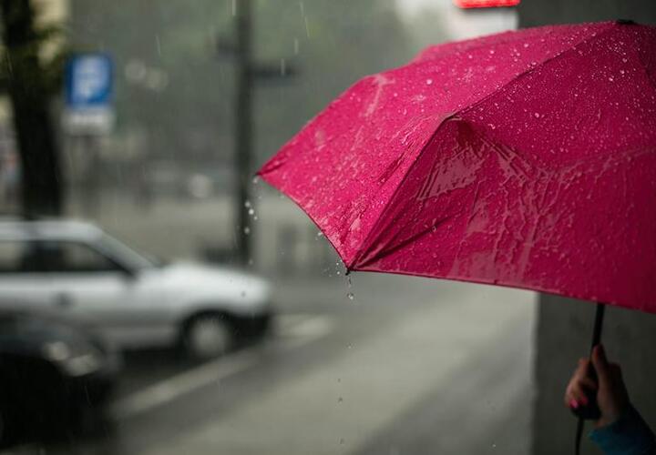 Дожди и ветер: сегодня погода вновь не порадует жителей Кубани 
