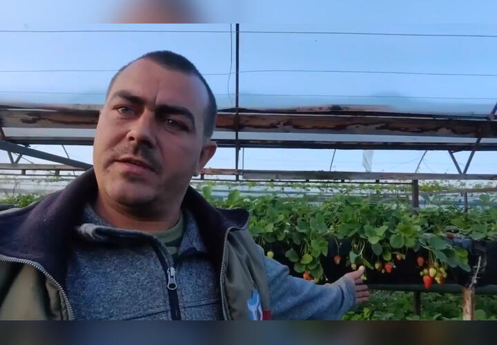 На Кубани фермеры попросили шеф-повара Ивлева извиниться за ролик с критикой цен на клубнику