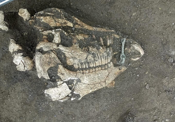 В Анапе нашли погребальный инвентарь племен синдов