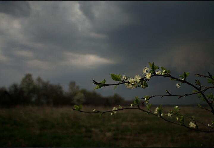 В Краснодарском крае 5 апреля пройдут ливни с градом