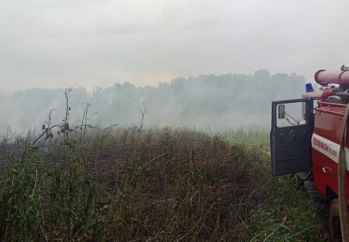 В Краснодаре из-за мусора загорелся лесопарк