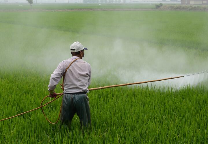 В Краснодарском крае фермера оштрафовали за использование химикатов