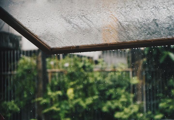Погода на Кубани удивляет однообразием: за окном снова пасмурно и дождливо