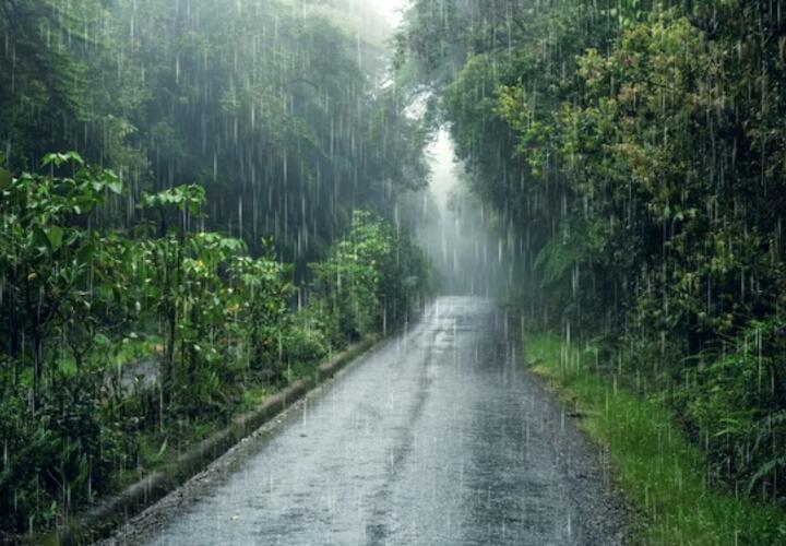 В Краснодарском крае 12 июня пройдут дожди с грозами