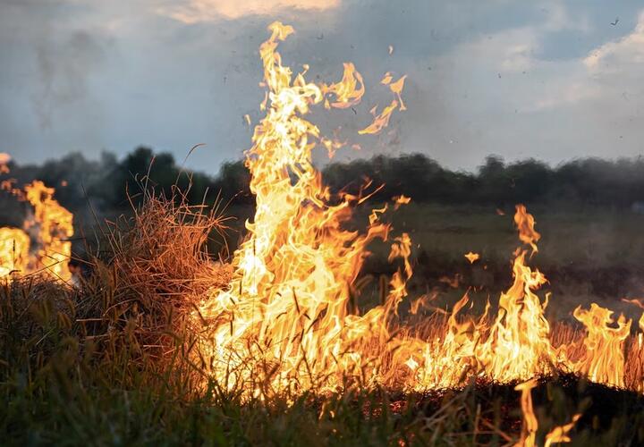 В Краснодарском крае 26 и 27 июня сохранится высокая пожароопасность