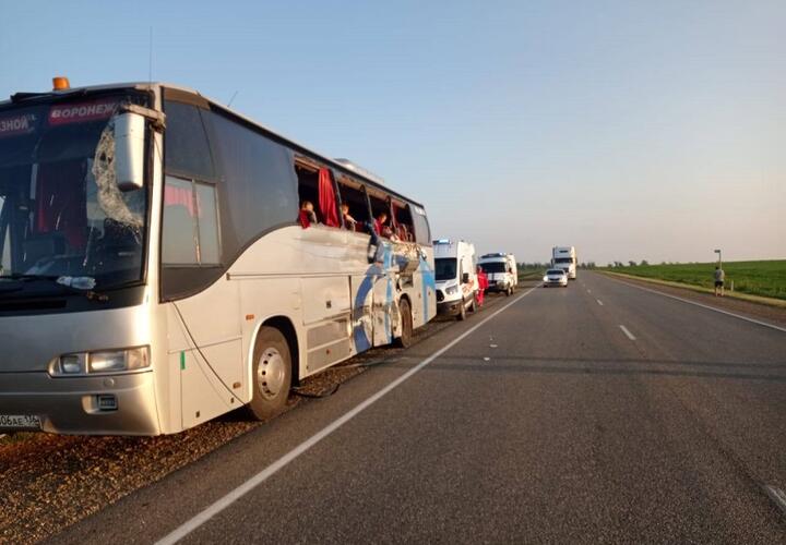Глава СК поручил возбудить дело после смертельного ДТП с автобусом на Кубани