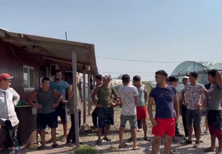 На Кубани в Красноармейском районе задержали более 100 нелегальных мигрантов