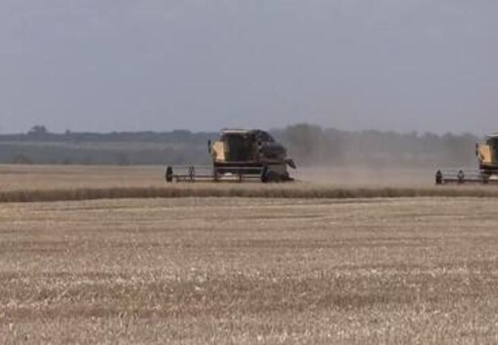 Не смотря на обстрелы: в Запорожской области начали уборку урожая