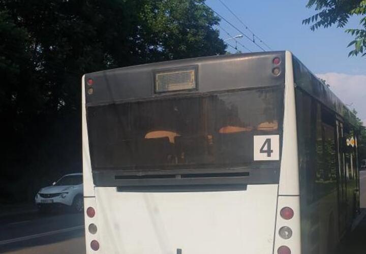 Маршрутка 61 краснодар схема