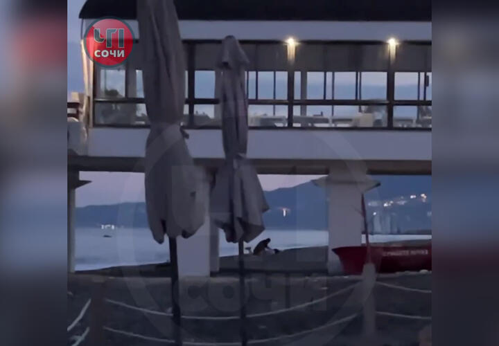 Секс на катамаране в море сняли на видео в Сочи