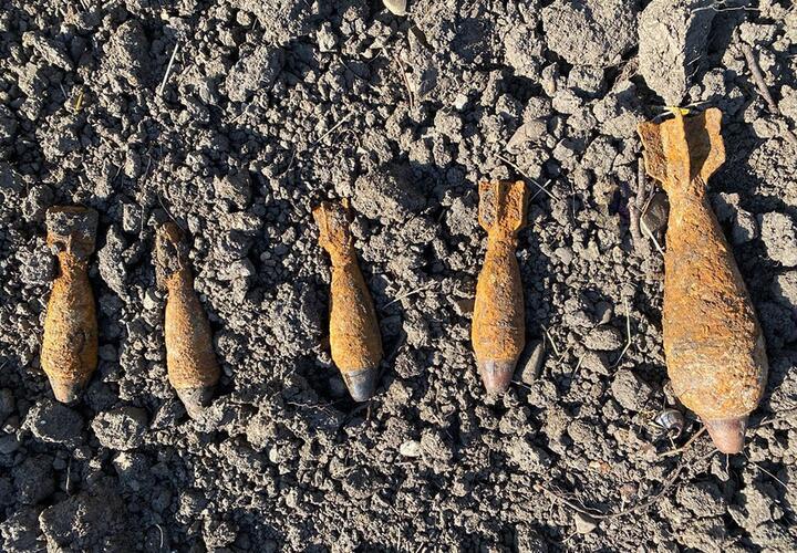 На Кубани нашли около 30 боеприпасов на кукурузном поле
