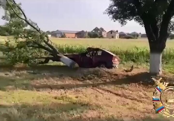 На Кубани пенсионер на иномарке врезался в дерево и погиб