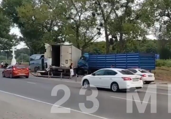 На Кубани в ДТП с двумя грузовиками погиб водитель автобуса