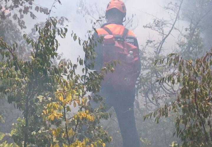 На Кубани в минувшие выходные произошло 178 пожаров