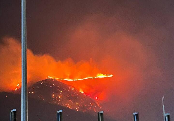 Площадь пожара в Геленджике увеличилась до 5 гектаров