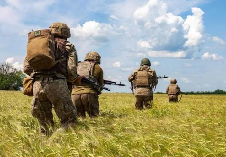 В Брянской области пограничники обнаружили украинских диверсантов