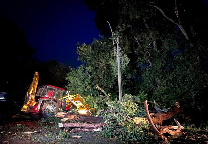 В Крымском районе Кубани штормовой ветер повалил деревья на трассу