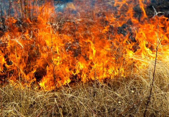 В Курганинском районе Кубани произошел пожар на площади 350 квадратных метров