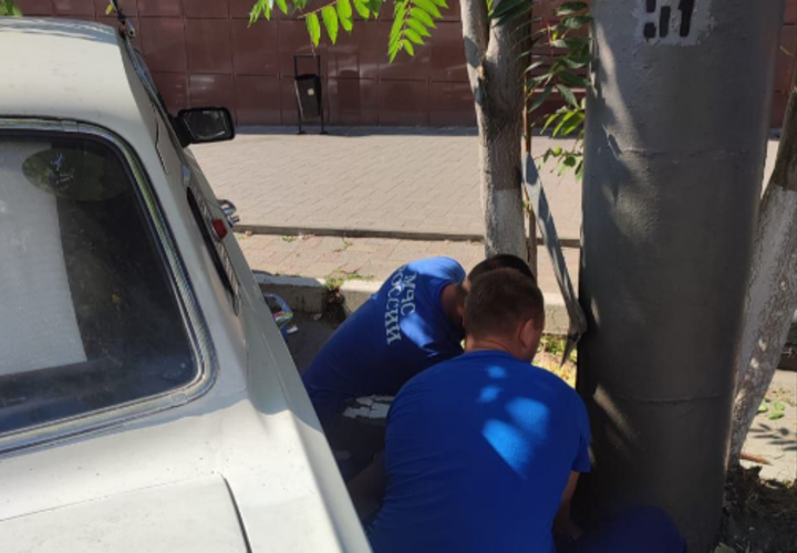 В Новороссийске спасатели извлекли котенка из уличного фонаря, как он там оказался – непонятно 