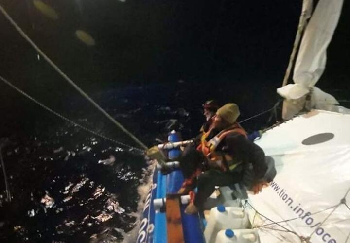 Акулы дважды напали на катамаран с россиянами в Тихом океане