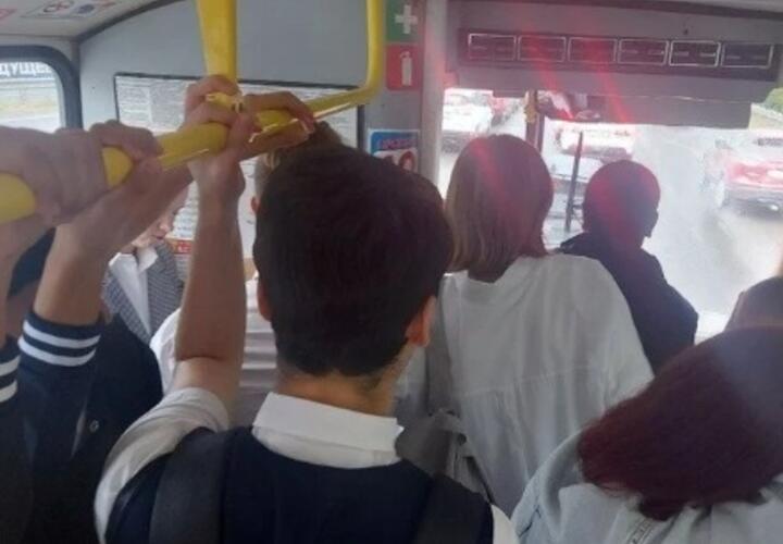 Дети опаздывают на уроки и травмируются: в Краснодаре родители создали петицию с требованием вернуть школьные автобусы
