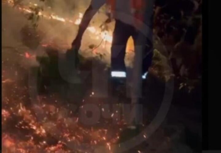 Дорожные рабочие в Сочи при помощи веников спасли АЗС от пожара